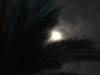 NabiMousa_6413