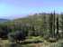 15LandEinHod_6708