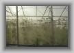 GreenHouse5740 * 3008 x 2000 * (1.45MB)
