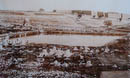 Herodian reservoir approx 100 years ago, Mamillah cemetery, West Jerusalem