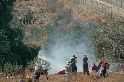 Bil'in