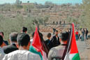 Bil'in