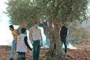 Bil'in