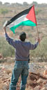 Bil'in