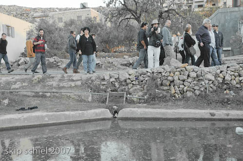 Friends of the Earth-neighbors' paths