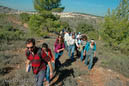 Friends of the Earth-neighbors' paths