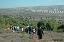 Friends of the Earth-neighbors' paths