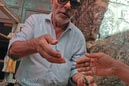 Blind seller of bread, Old City Jerusalem