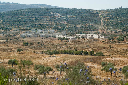 DSC_1861