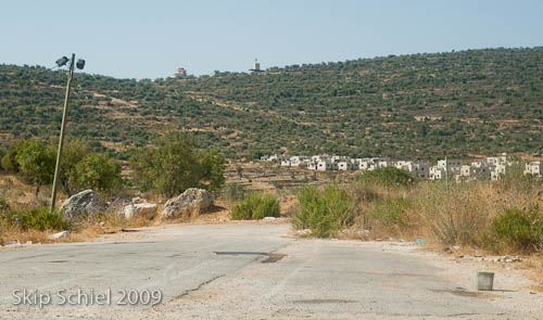 DSC_1867