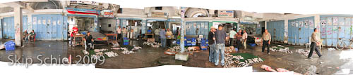 GazaFishMarketPanoStitch