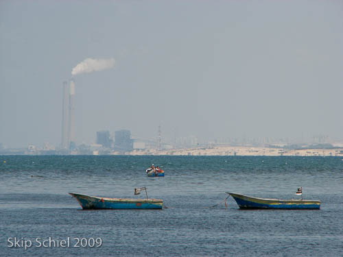IMG_1208