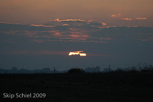 DSC_4470