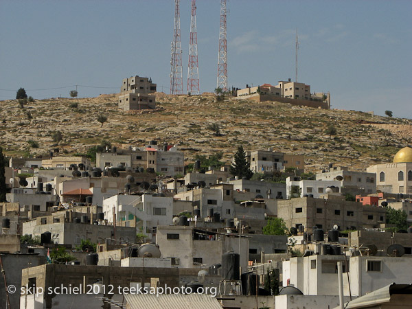 Jenin-7341