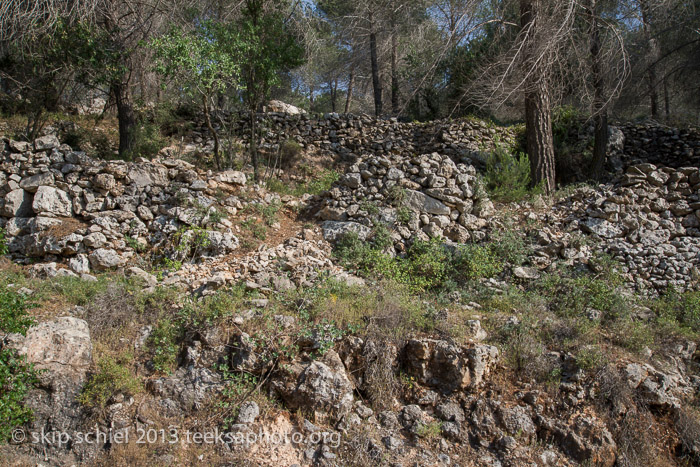 Palestine-Israel-Battir-Terraces-5118