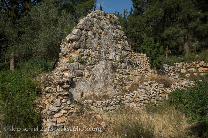 Palestine-Israel-Battir-Terraces-5119