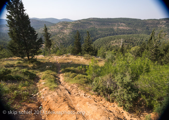 Palestine-Israel-Battir-Terraces-5134