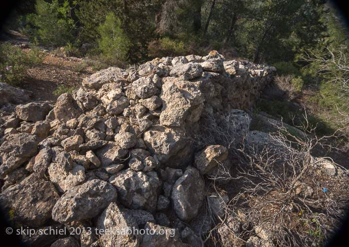 Palestine-Israel-Battir-Terraces-5135