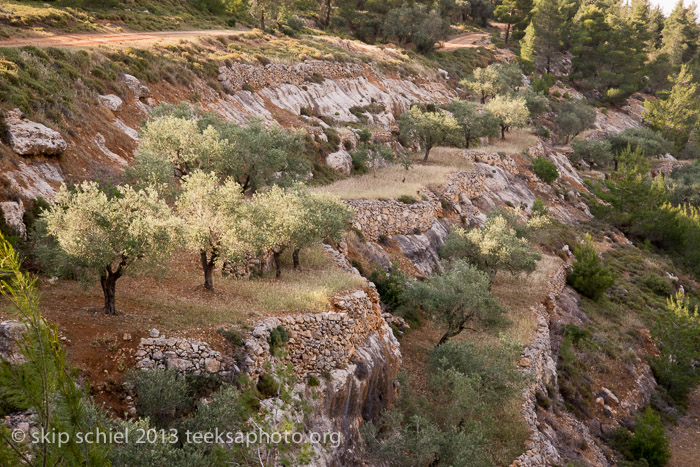 Palestine-Israel-Battir-Terraces-5154