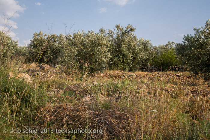 Palestine-Israel-Battir-Terraces-5166
