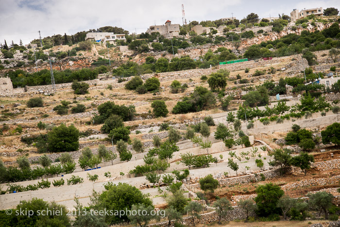 Palestine-Battir-Terraces-6038