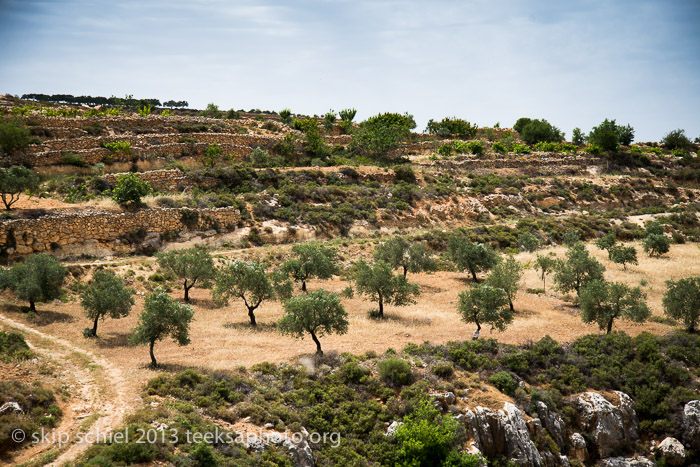 Palestine-Battir-Terraces-6053