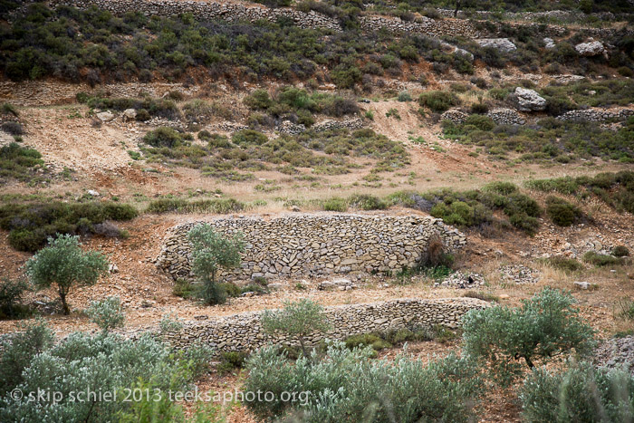 Palestine-Battir-Terraces-6068