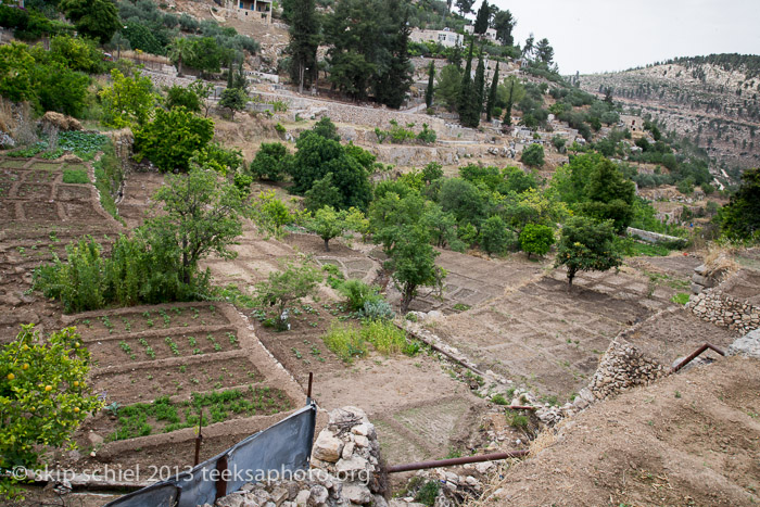 Palestine-Battir-Terraces-6103