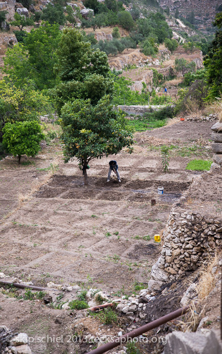 Palestine-Battir-Terraces-6137