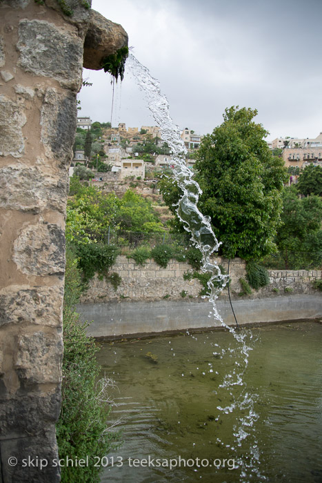 Palestine-Battir-Terraces-6152