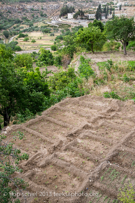 Palestine-Battir-Terraces-6163