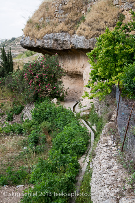 Palestine-Battir-Terraces-6166