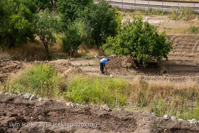 Palestine-Battir-Terraces-6186