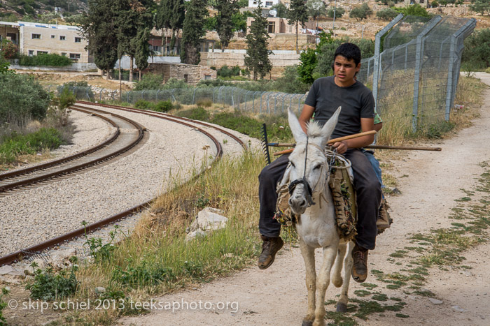 Palestine-Battir-Terraces-6206