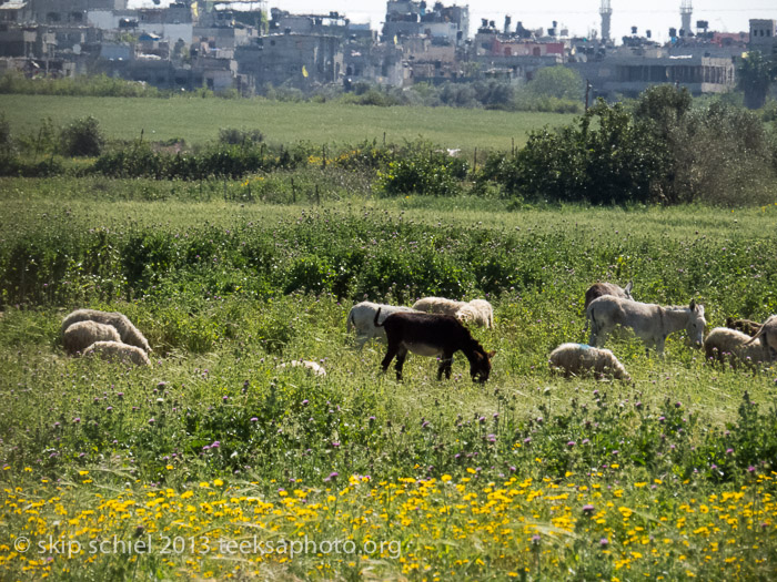 Israel Palestine-Gaza-American Friends Service Committee-2109