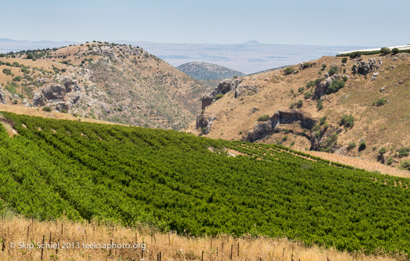 Israel-Galilee-5194