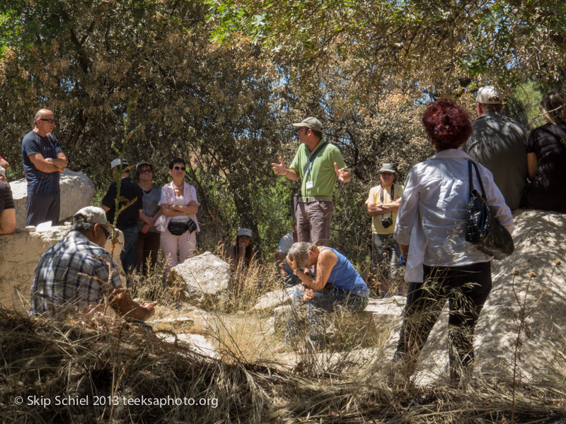 Israel-Galilee-5230