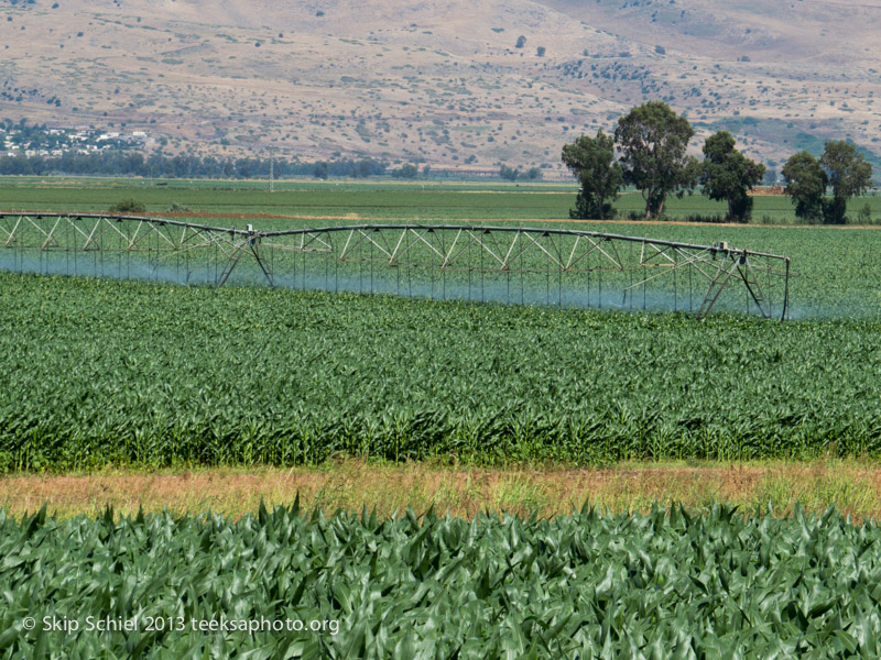 Israel-Galilee-5248