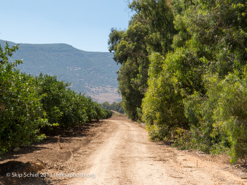 Israel-Galilee-5261