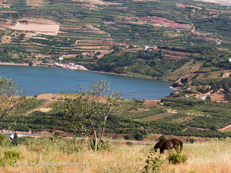 Israel-Golan-Mt Hermon-5602