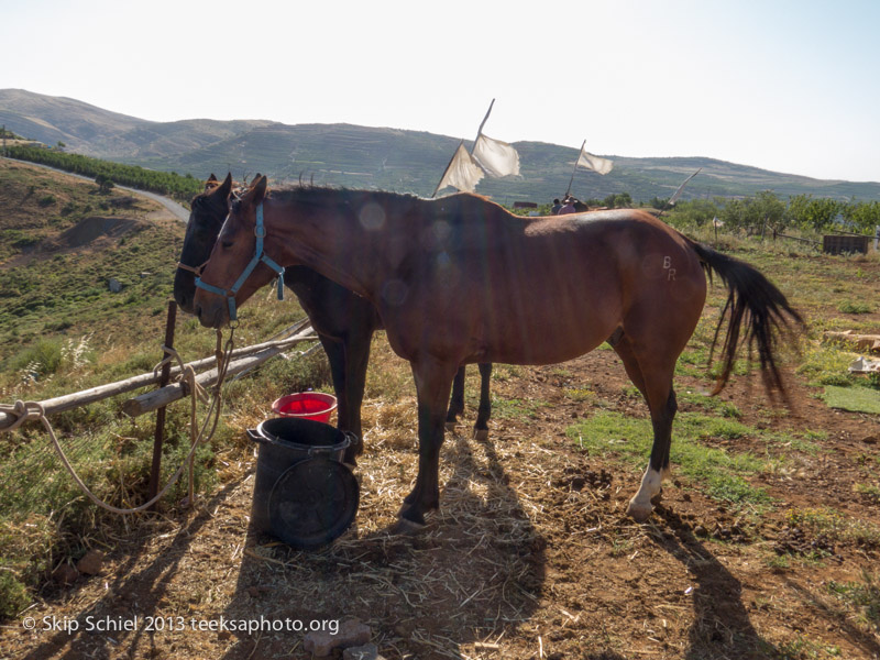 Israel-Golan-Mt Hermon-5626