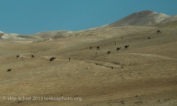 Palestine-Bedouin-Jahalin-6823