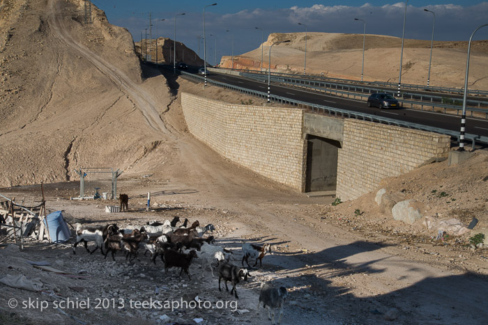 Palestine-Bedouin-Jahalin-6905