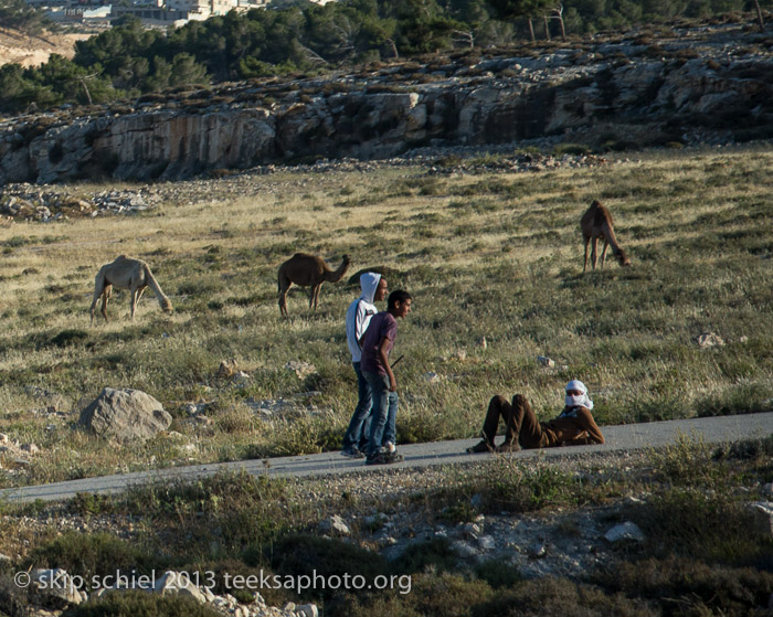 Palestine-Bedouin-Jahalin-6916