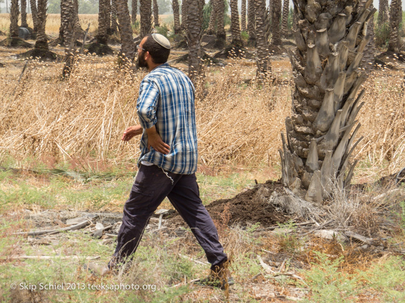 Palestine-Israel-Jordan Valley-6623