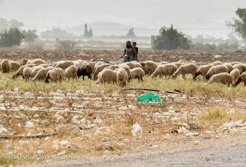 Palestine-Israel-Jordan Valley-6708