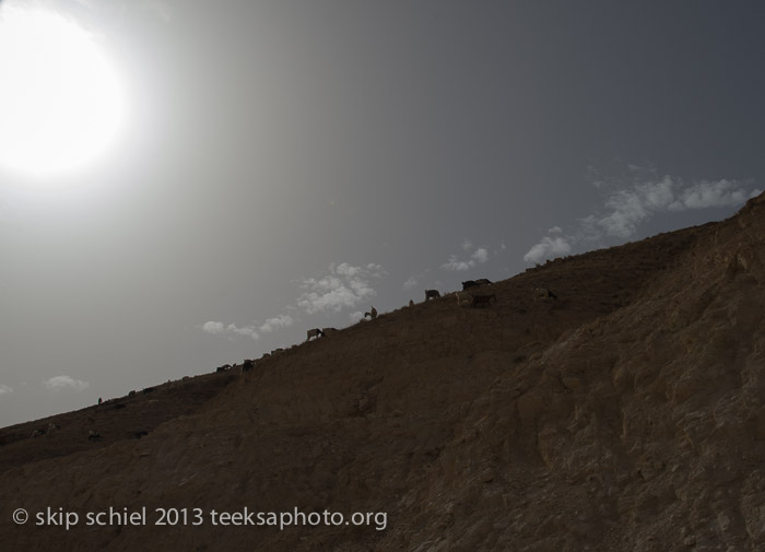 Palestine-Jordan River Valley-7214