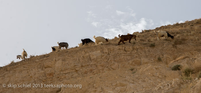 Palestine-Jordan River Valley-7215