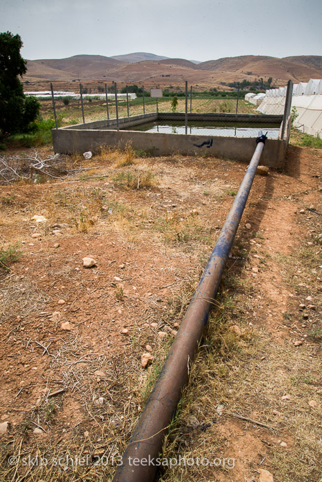 Palestine-Jordan River Valley-7229