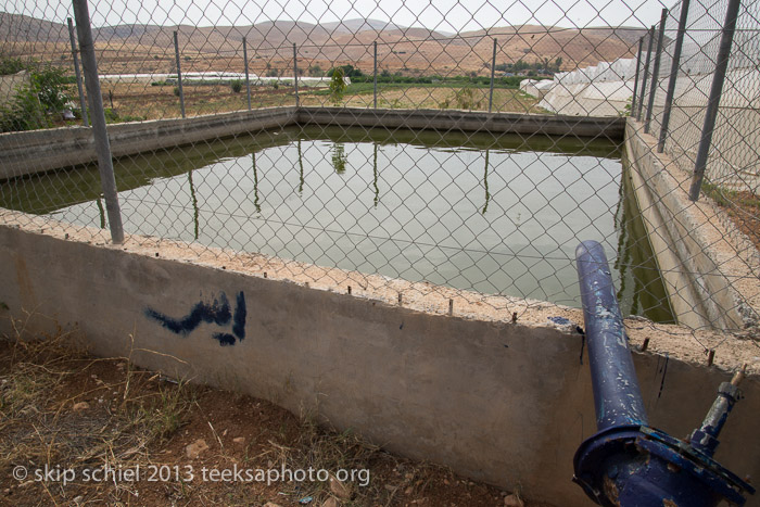 Palestine-Jordan River Valley-7230